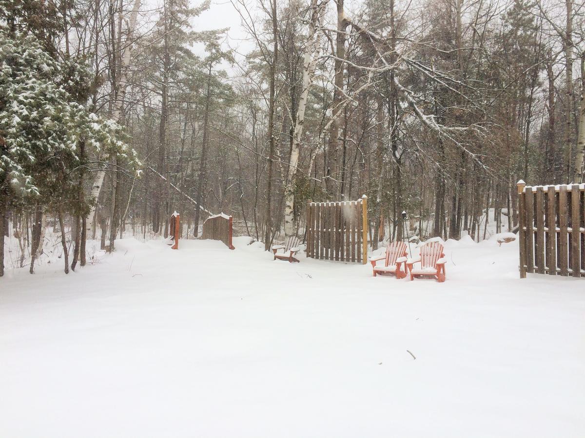 Adirondack Spruce Lodge Wilmington Exterior photo